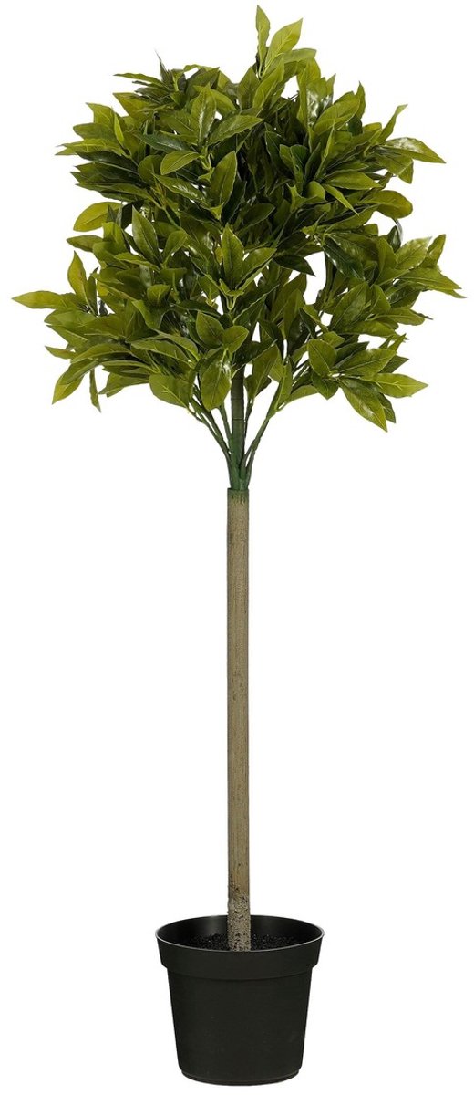 Mica Decorations Laurierboom Kunstplant - H120 x Ø40 cm - Groen