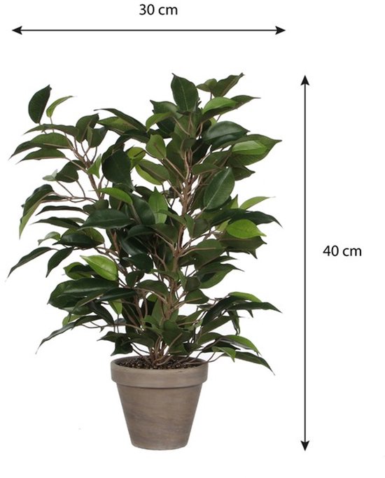Kunstplant Ficus Natsja met donkergroene bladeren, 30 cm breed en 40 cm hoog, in een grijze pot.