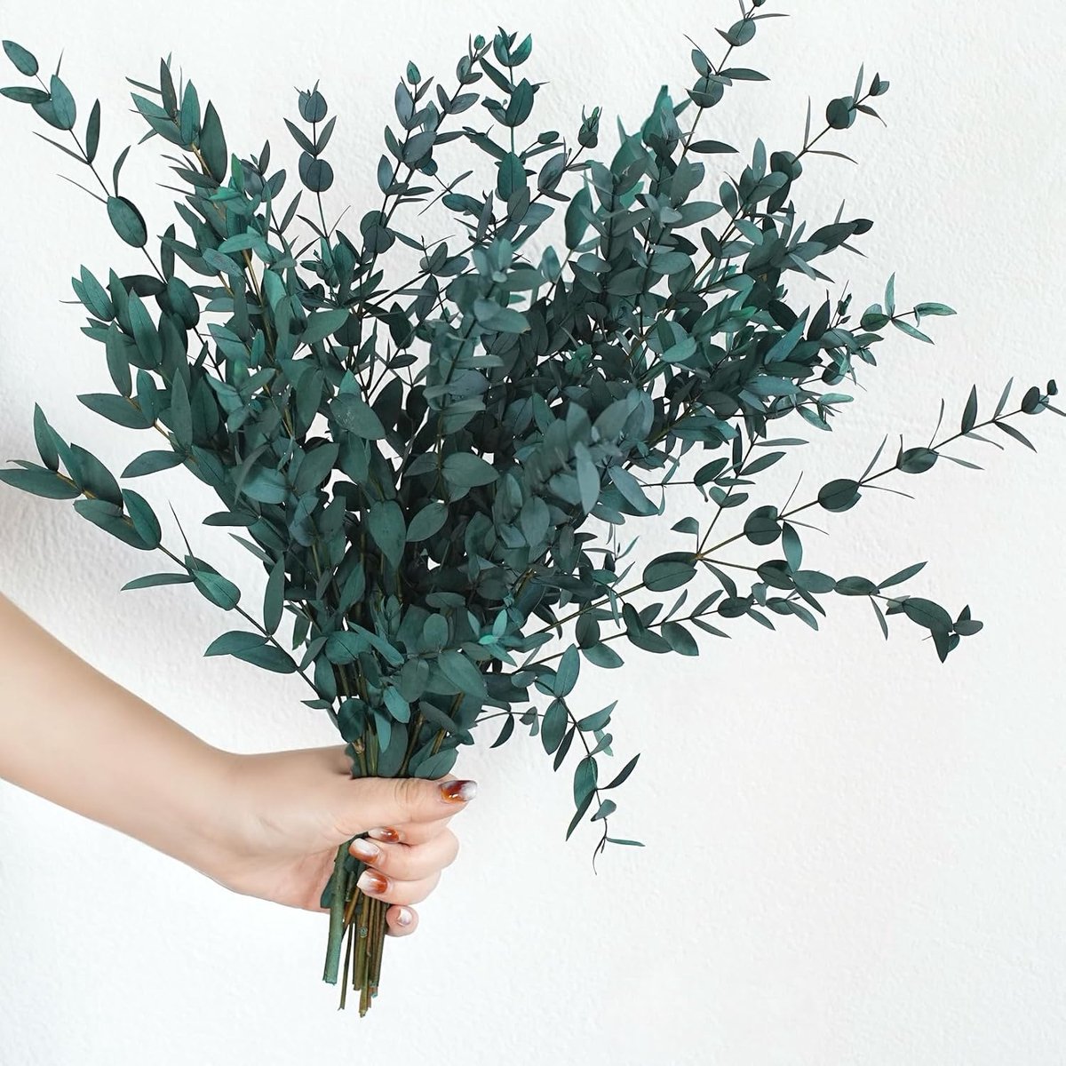 Eucalyptusbladeren geconserveerde groenstengels, 8-14 stuks eucalyptus slingertakken, 4 oz natuurlijke eucalyptus voor douche, blauwe bladeren plantenbundel voor bruiloftskrans, feest,