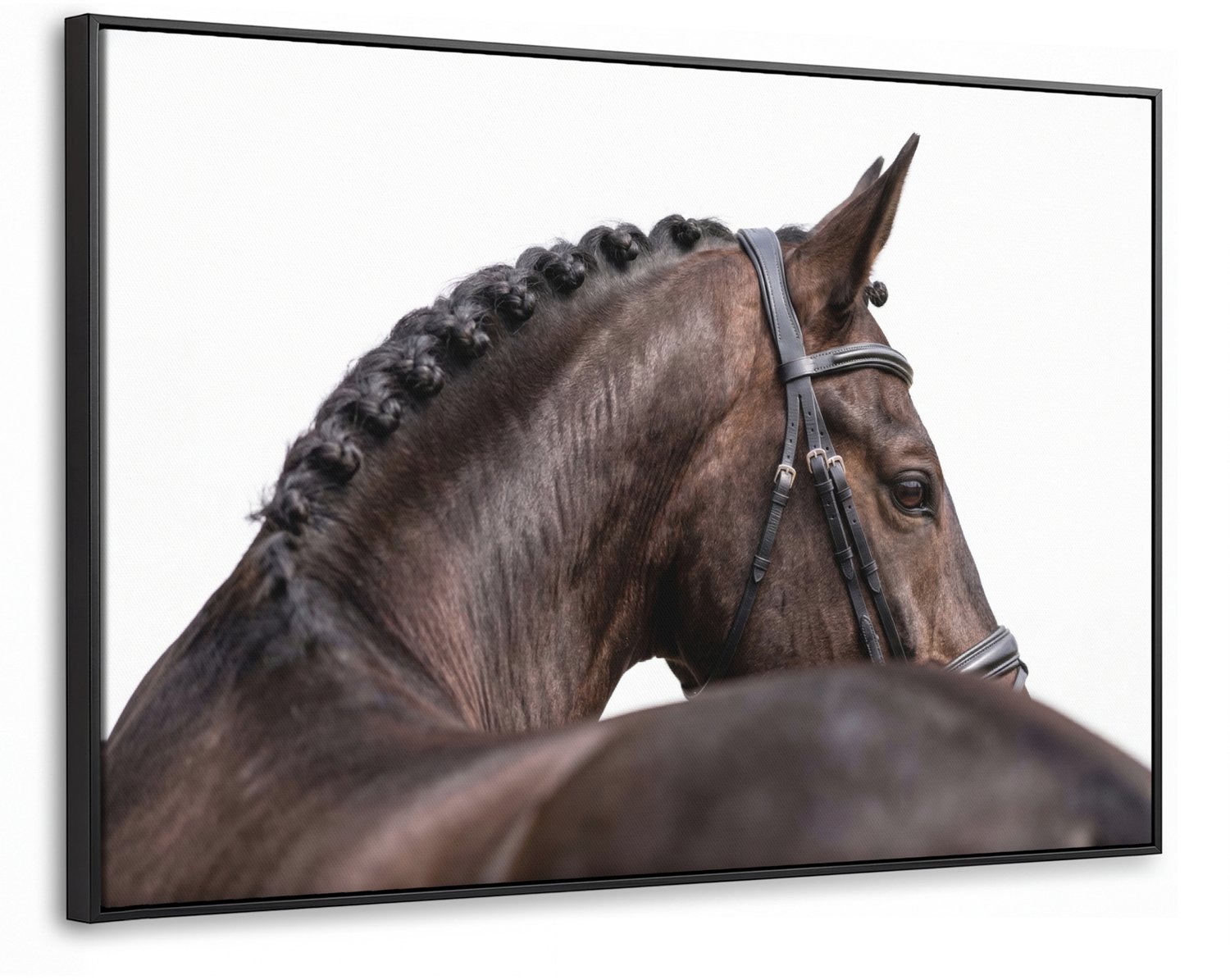 Canvas Schilderij met Baklijst 90x60cm - Portret - Paard - Elegant - Muurdecoratie woonkamer - Slaapkamer decoratie - Kamer accessoires - Schilderijen op canvas met lijst