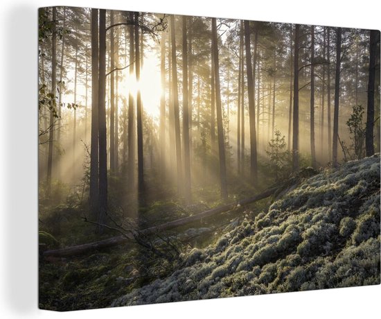 Canvas Schilderij Bos - Zonsopkomst - Bomen - Landschap - Schilderijen op Canvas - 120x80 cm - Schilderijen Woonkamer