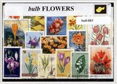 Bolgewassen - Typisch Nederlands postzegel pakket & souvenir. Collectie van verschillende postzegels van bolgewassen – kan als ansichtkaart in een A6 envelop - authentiek cadeau - kado - kaart - tulpen - narcis - krokus - hyacint - tulp - amaryllis