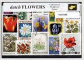Nederlandse Bloemen - Typisch Nederlands postzegel pakket & souvenir. Collectie van 50 verschillende postzegels van Nederlandse bloemen – kan als ansichtkaart in een A6 envelop - a