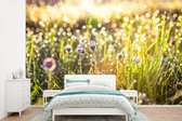 Papier peint - Papier peint photo Herbe - Fleurs - Printemps - Largeur 420 cm x hauteur 280 cm