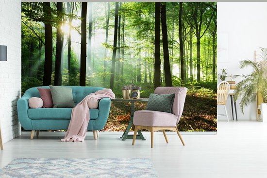 Papier peint - Papiers Papier peint photo Forêt - Soleil - Feuilles - Largeur 450 cm x Hauteur 300 cm