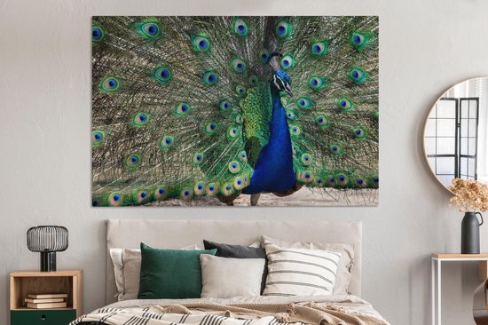 Toile Peinture Plumes de Paon - Blauw - Vogel - 180x120 cm - Décoration murale XXL
