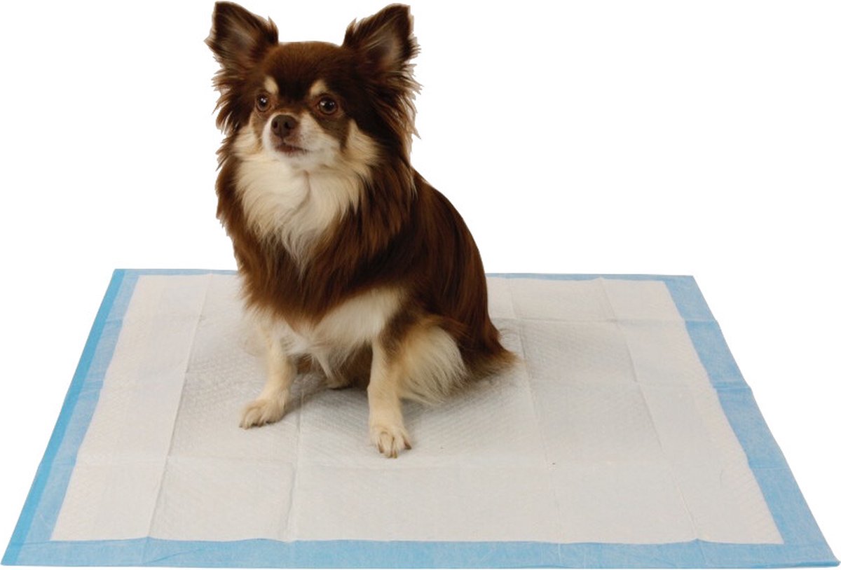 Easypets training pads cheap