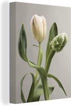 Toile Peinture Tulipes - Fleurs - Wit - 60x80 cm - Décoration murale