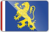 Vlag gemeente Leeuwarden - 100 x 150 cm - Polyester