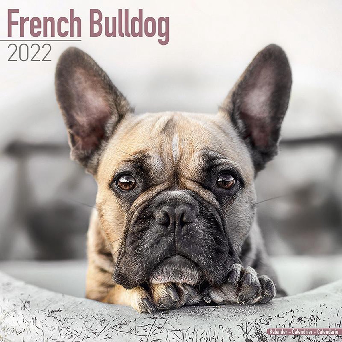 French Bulldogs Kalender 2022