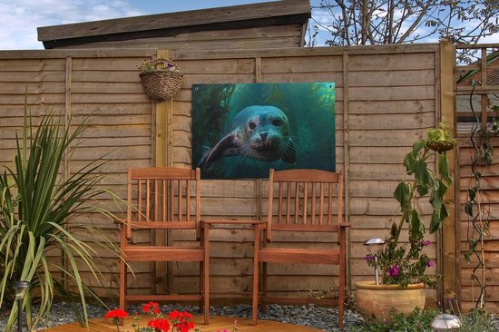 Décoration de jardin Seagrass - Water - Phoque - 60x40 cm - Affiche de jardin