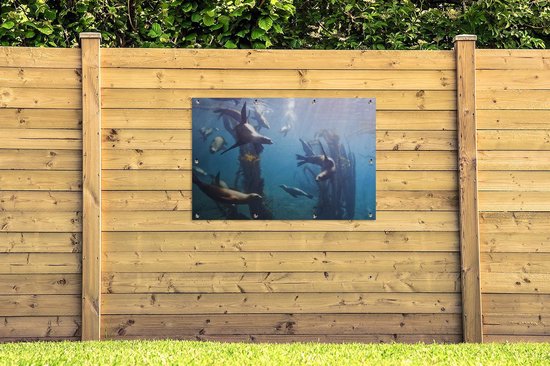 Affiche jardin - Toile jardin - Posters de jardin - Varech - Forêt - Lion de mer - 120x80 cm - Jardin