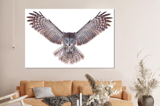 Décoration murale Métal - Peinture Aluminium - Hibou volant - 150x100 cm