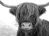 Nordic Highland Style Print Poster Wall Art Kunst Canvas Printing Op Papier Living Decoratie 20X30cm Multi-color