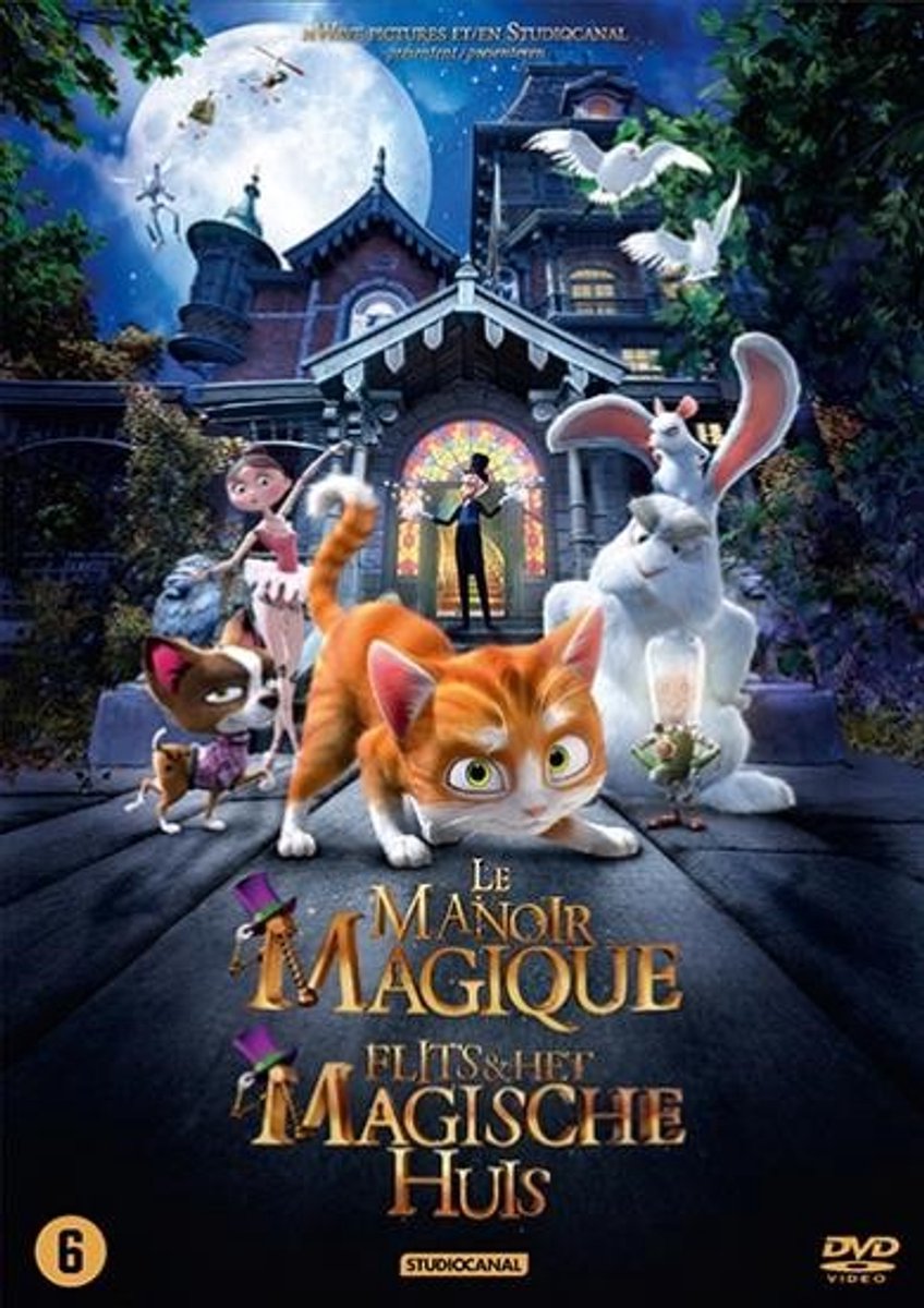 Flits en het magische huis (DVD)