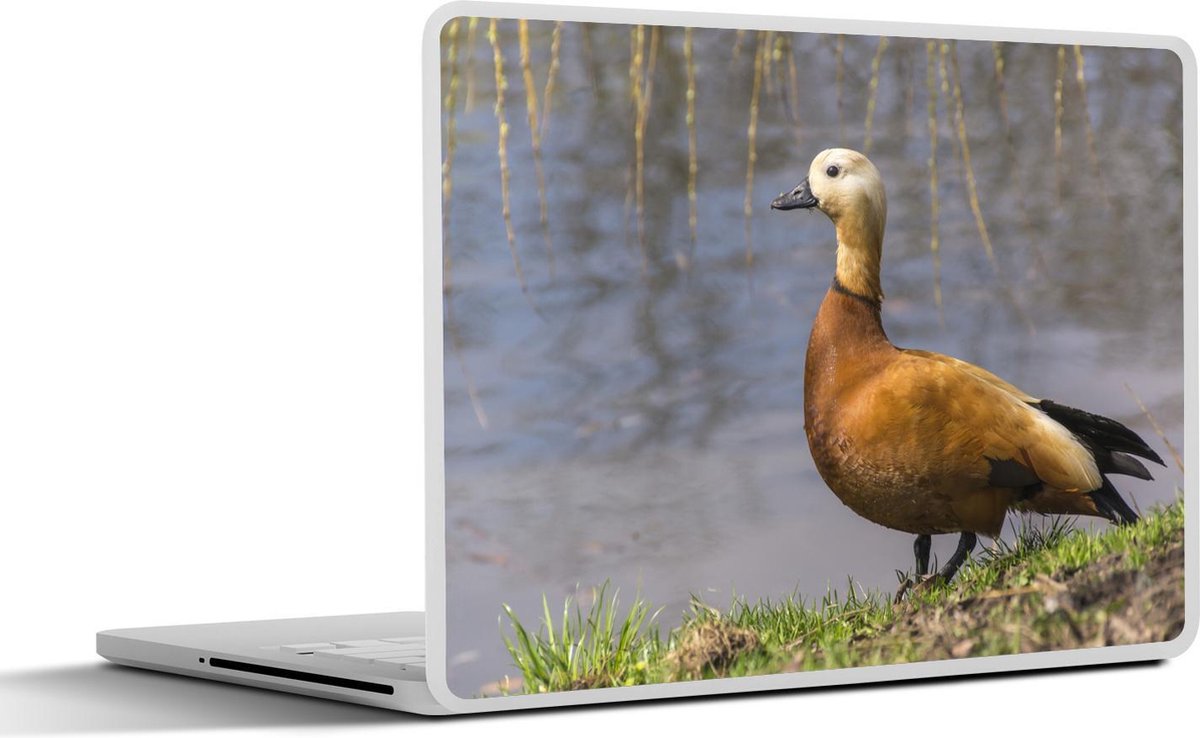 Afbeelding van product SleevesAndCases  Laptop sticker - 17.3 inch - Een witoogeend staat bij het water