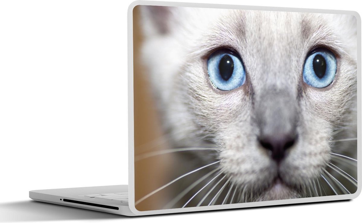 Afbeelding van product SleevesAndCases  Laptop sticker - 10.1 inch - Een Ragdoll kitten met blauwe ogen
