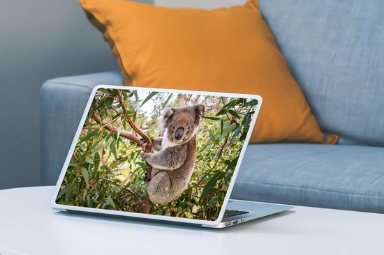 Laptop sticker - 10.1 inch - Koala - Bladeren - Takken - Kinderen - Jongens - Meiden - 25x18cm - Laptopstickers - Laptop skin - Cover