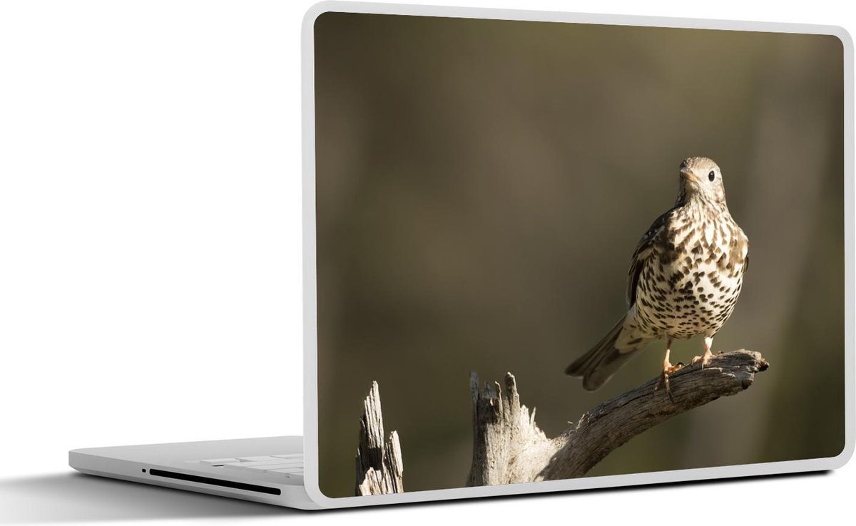 Afbeelding van product SleevesAndCases  Laptop sticker - 17.3 inch - Een Zanglijster kijkend in de verte