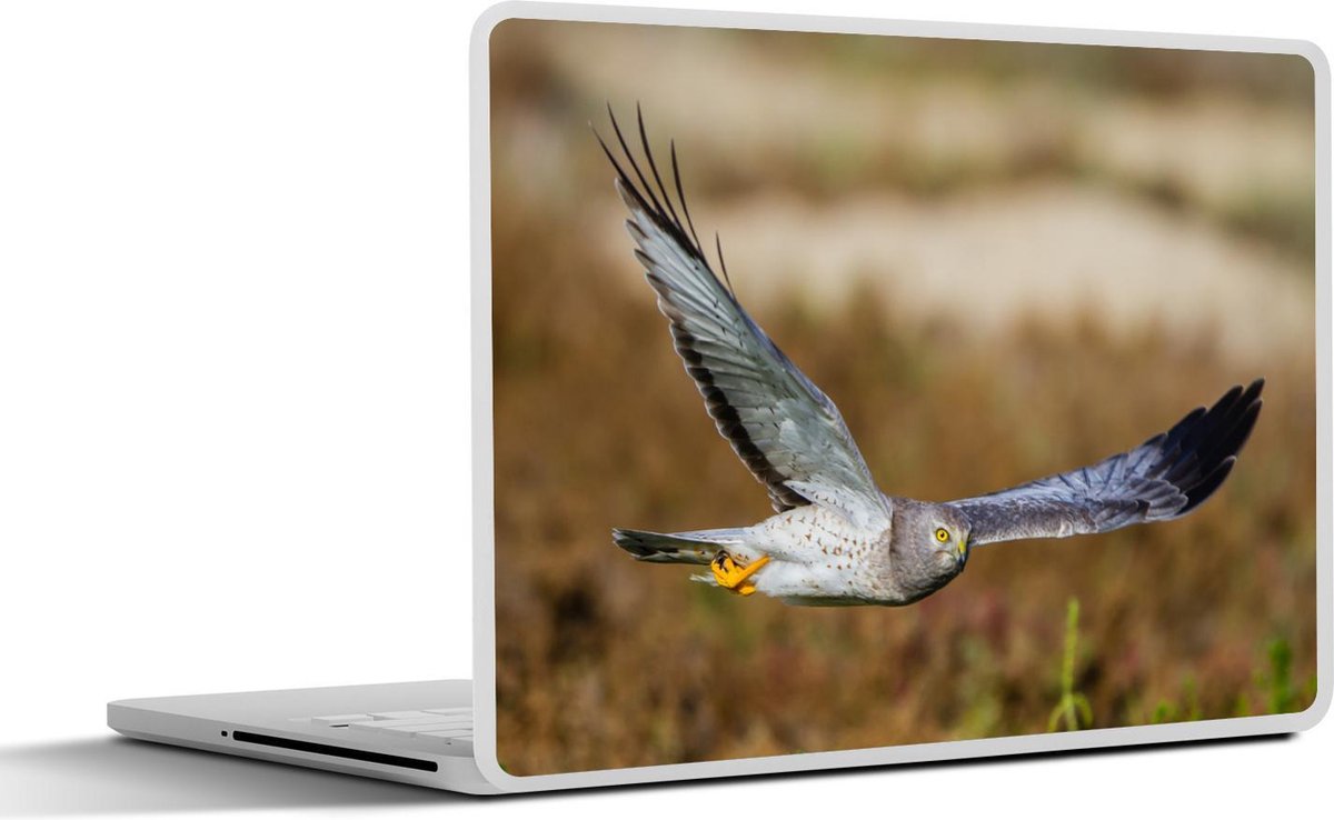 Afbeelding van product SleevesAndCases  Laptop sticker - 11.6 inch - Een blauwe kiekendief vervaagde achtergrond