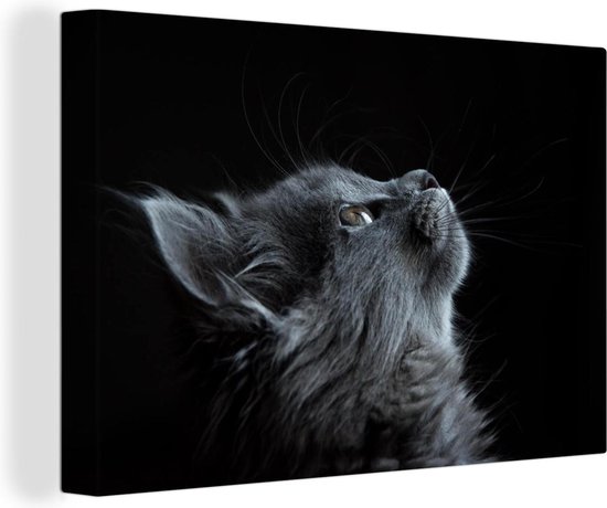 Tableau Toile Chat - Léger - Zwart - 120x80 cm - Décoration murale