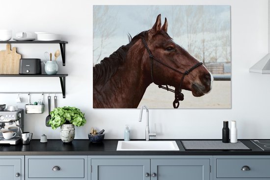Tableau sur toile Paarden - Animaux - Licol - 120x90 cm - Décoration murale