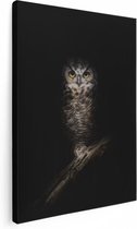 Artaza Toile Peinture Hibou Sur Une Branche La Nuit - 30x40 - Klein - Tableau Sur Toile - Impression Sur Toile