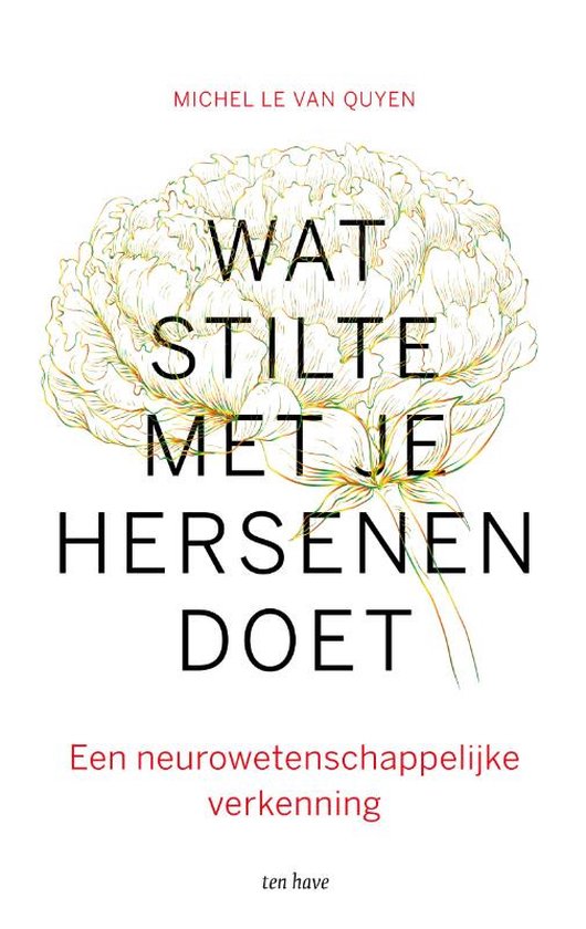 Wat stilte met je hersenen doet  - Een neurowetenschappelijke verkenning