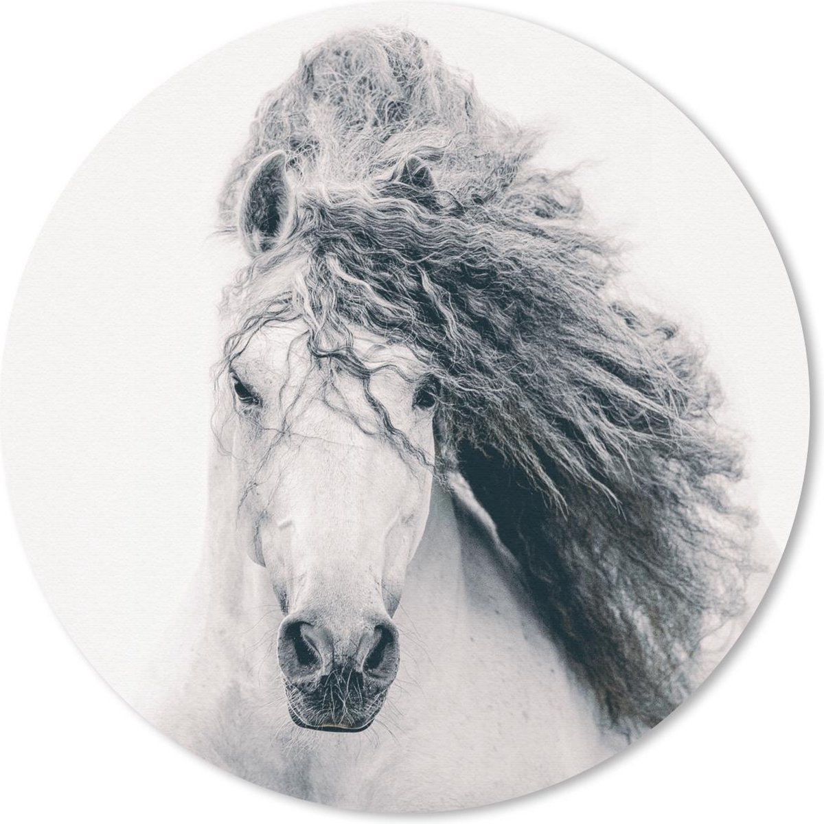Muismat rond 40x40 cm - Mousepad Paard - Wit - Haar - Ronde muismatten