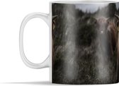 Mok - Schotse hooglander - Koeien - Kleuren - 350 ml - Beker