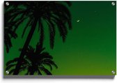 Walljar - Silhouet Groene Lucht - Muurdecoratie - Plexiglas schilderij