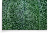 Walljar - Detailed Leaf II - Muurdecoratie - Poster