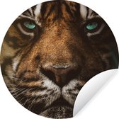 Wallpaper Circle - Animaux - Tigre - Sauvage - 80x80 cm - Wall Circle - Auto-adhésif - Wallpaper Sticker