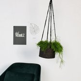 Hanging Mate[Zwarte hangmand] [plant potmaat 17/21]