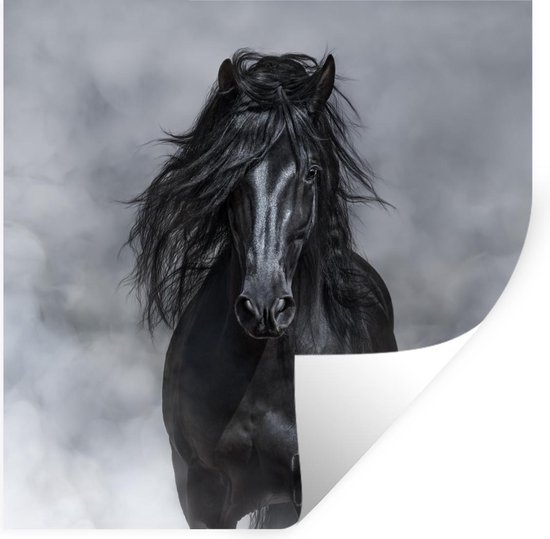 Stickers Stickers muraux - Cheval - Zwart - Fumée - 30x30 cm - Film adhésif