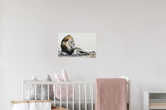 Stickers muraux - Illustration - Lions - Couleur - 30x20 cm - Feuille adhésive