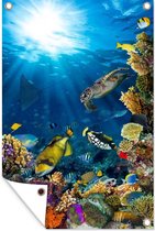 Affiche jardin - Toile Posters de jardin extérieur - Animaux aquatiques marins - Poissons - Water - 80x120 cm - Jardin