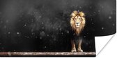 Affiche Lion - Neige - Portrait - 40x20 cm
