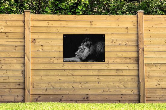 Affiches de jardin Posters de jardin Représentation d'un lion en forme de dessin - noir et blanc - 90x60 cm - Toile de jardin