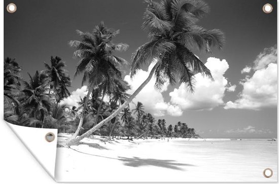 Tuinposter - Tuindoek - Tuinposters buiten - Een palmboom op het strand hangt boven de zee - zwart wit - 120x80 cm - Tuin