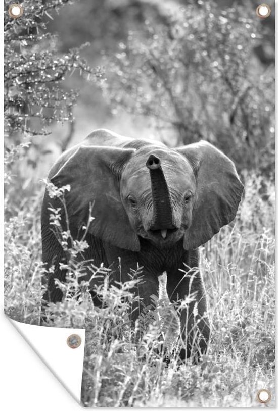 Tuinposters buiten Blije baby olifant in Zuid-Afrika - zwart wit - 60x90 cm - Tuindoek - Buitenposter