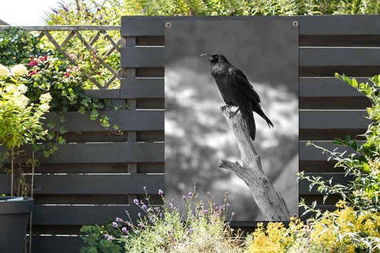 Affiche jardin - Toile Posters de jardin extérieur - Un corbeau noir sur une branche cassée - noir et blanc - 80x120 cm - Jardin