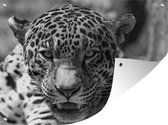 Tuinposter - Tuindoek - Tuinposters buiten - Een portret van een vrouwelijke jaguar met de mond een beetje open - zwart wit - 120x90 cm - Tuin