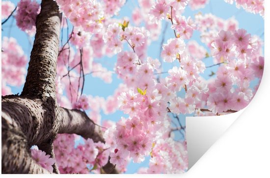 Muurstickers - Sticker Folie - Bloemen - Sakura - Boom - 30x20 cm - Plakfolie - Muurstickers Kinderkamer - Zelfklevend Behang - Zelfklevend behangpapier - Stickerfolie