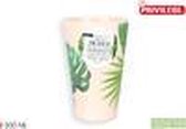 BAMBOO VAAS FERNS 500ML