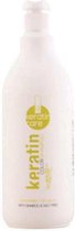 Kleur Revitaliserende Shampoo Keratin Care Alexandre Cosmetics (1000 ml)