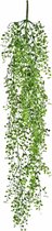 Greenmoods Kunstplanten - Kunstplant - Hangplant - Buxus - 80 cm
