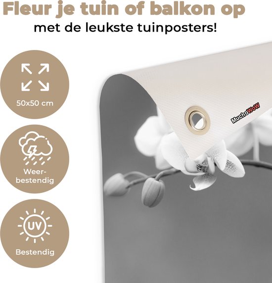 Posters de jardin Orchidée - Fleurs - Plante - Wit - Violet - 50x50 cm - Toile jardin - Affiche extérieure