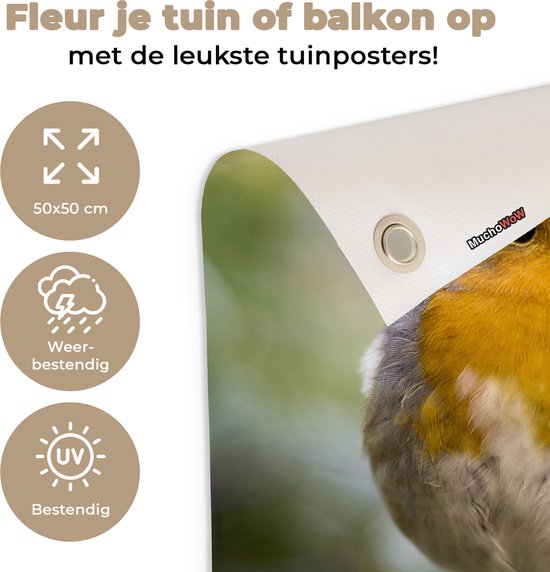 Tuinposter vogels - Roodborstje - Portret - Natuur - Tak - Tuindecoratie - Schuttingdoek - Schutting decoratie - Tuin - Tuinschilderij voor buiten - 50x50 cm - Tuindoek - Tuinposters buiten