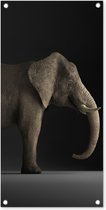 Tuinposter Olifant - Dieren - Licht - 40x80 cm - Wanddecoratie Buiten - Tuinposter - Tuindoek - Schuttingposter - Tuinschilderij